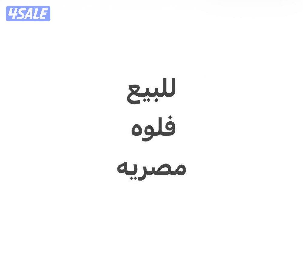 للبيع فلوه مصريه العمر سنه ونص0