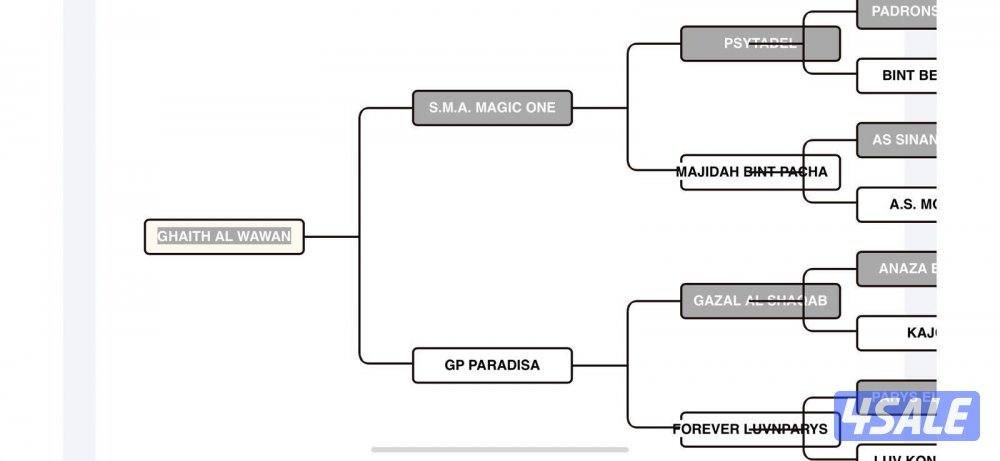 ولد ماجك ون ارتفاع ١٦١2