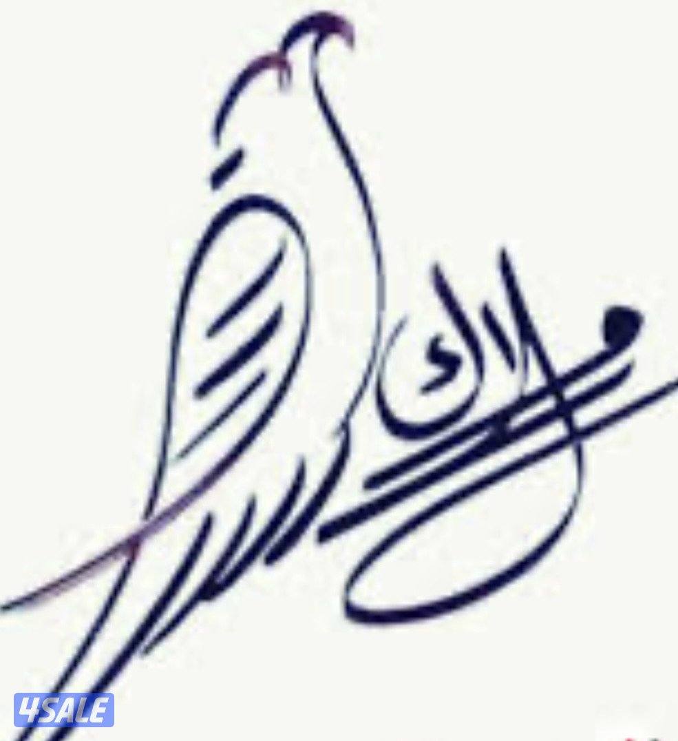 مدير مالي خبرة ٢٥ سنة بالكويت في اعداد الميزانيات والقوائم المالية0