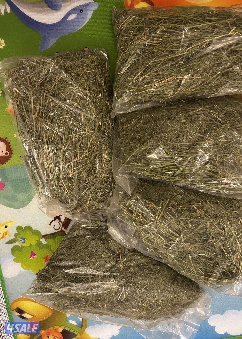 ارنب تيدي بير ذكر عمره ثلاث اشهر صحته ممتازه سعره مع اغراضه واكله4