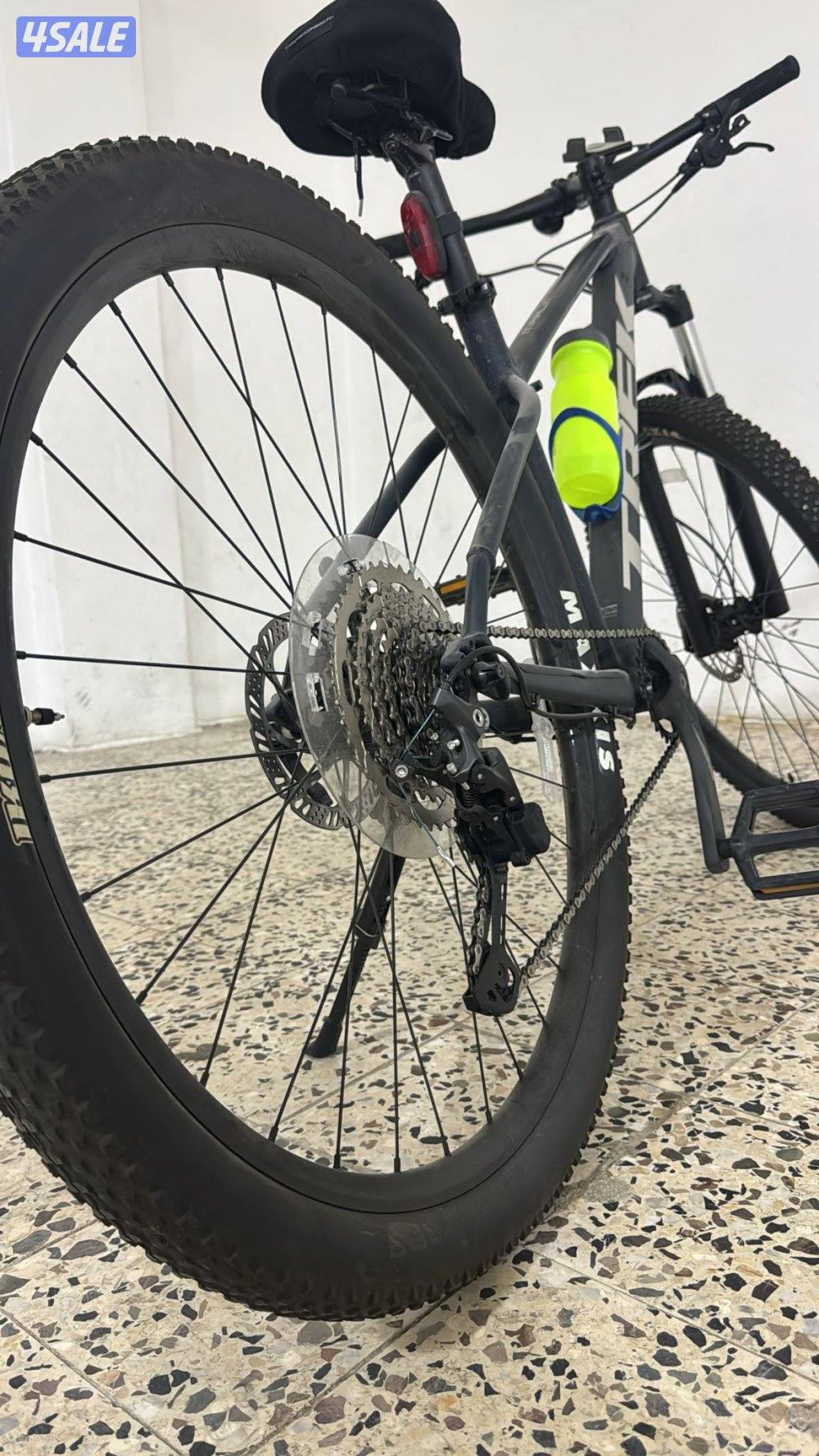 صباح الناصر6