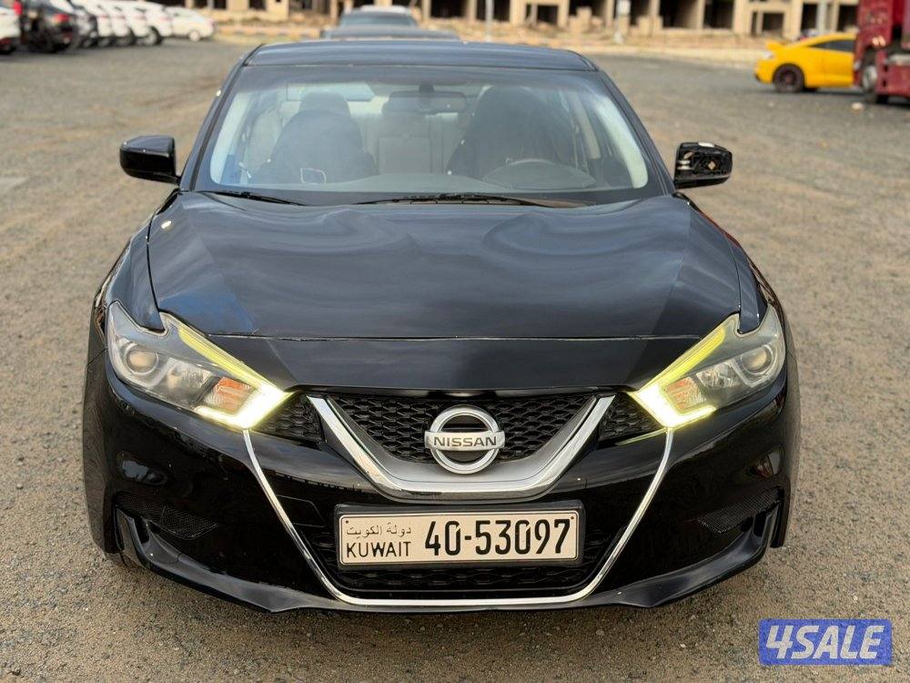 مكسيما 2016 نظيف ومرتب12