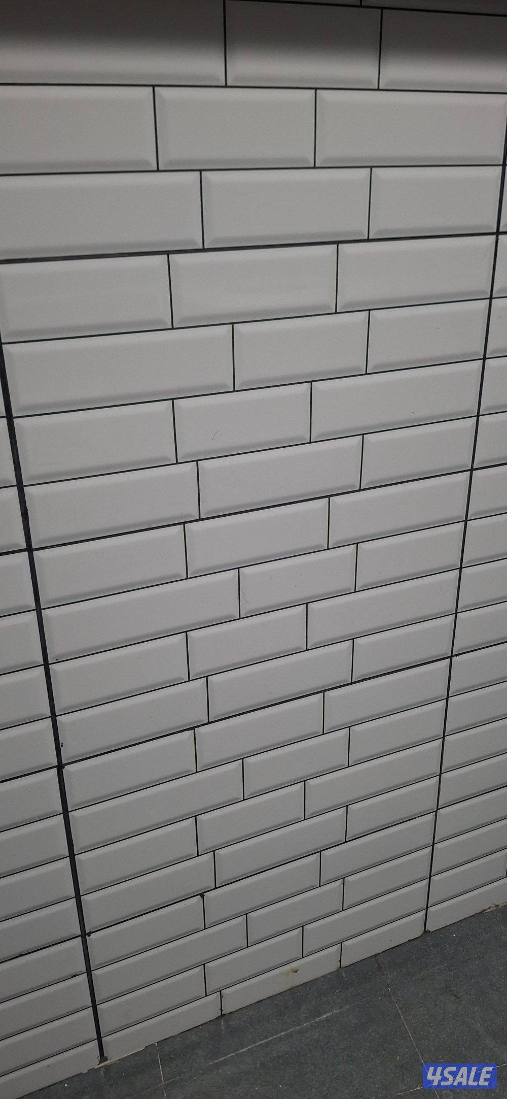 محمد ناظم معلم سرامیک پاکستانی0