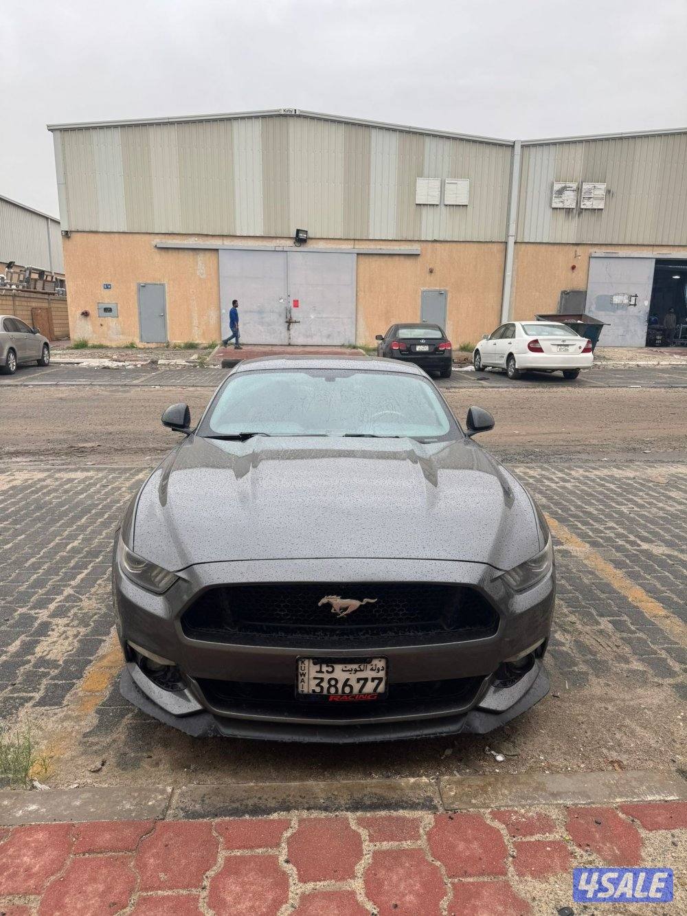 موستنق 17 شاصي جيد1