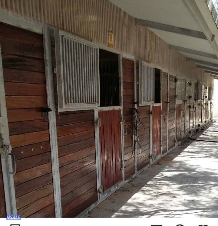 مربط في العبدلي0