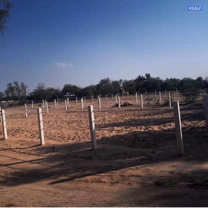 مربط في العبدلي1