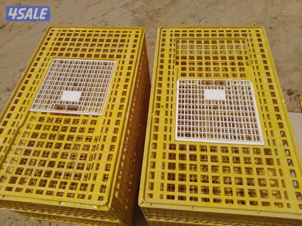 جواخير الوفره1