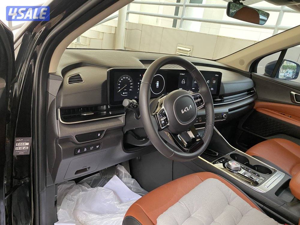 For sale-Carnival 2026-km-1//10