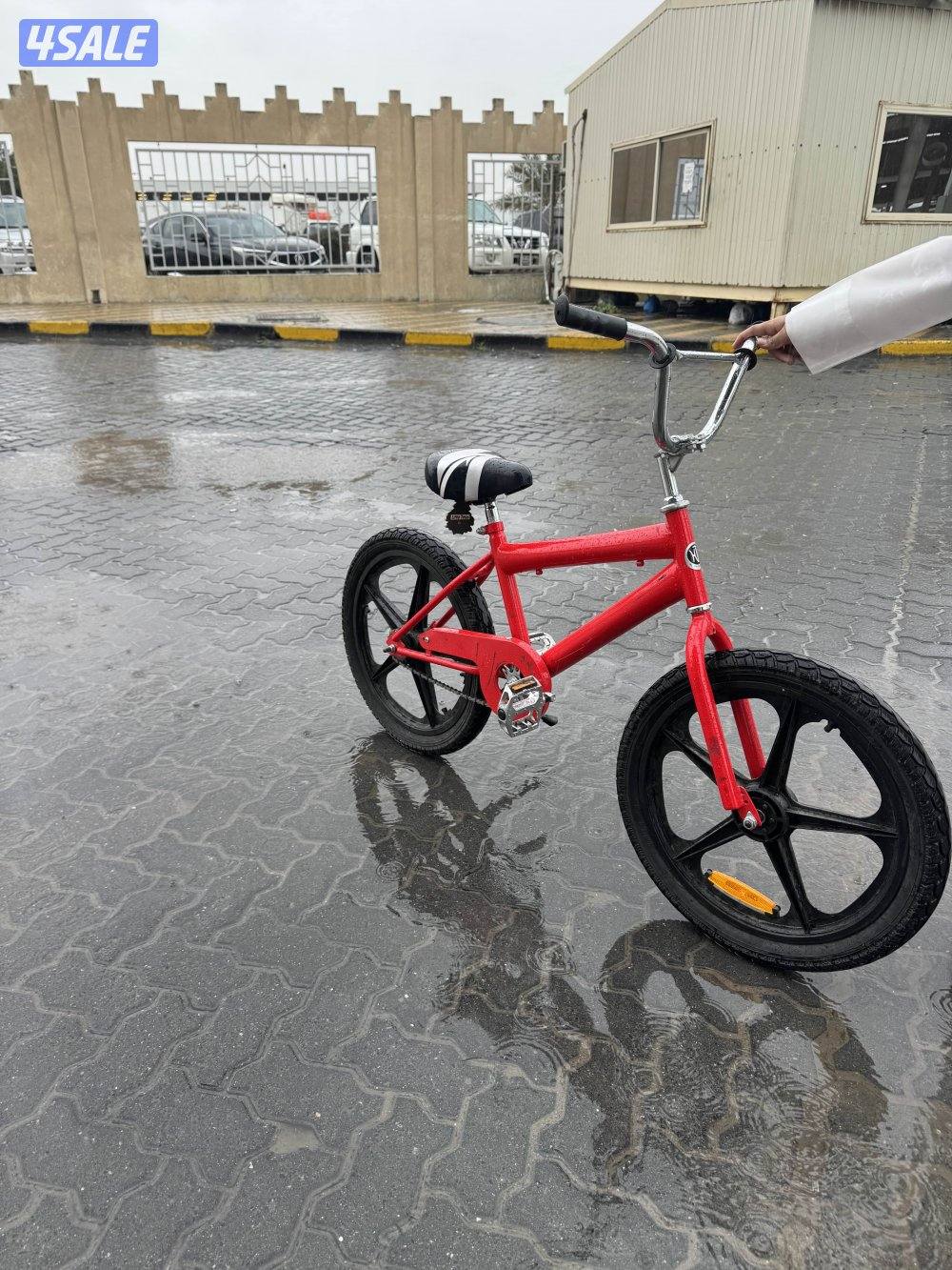 قاري ابو نجمه للبيع0