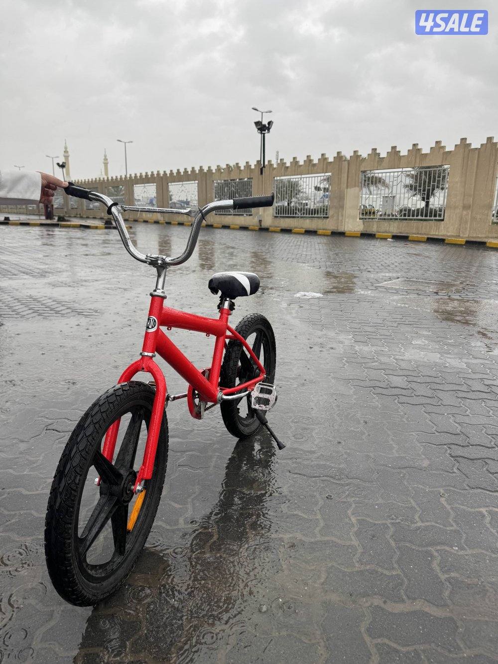 قاري ابو نجمه للبيع1