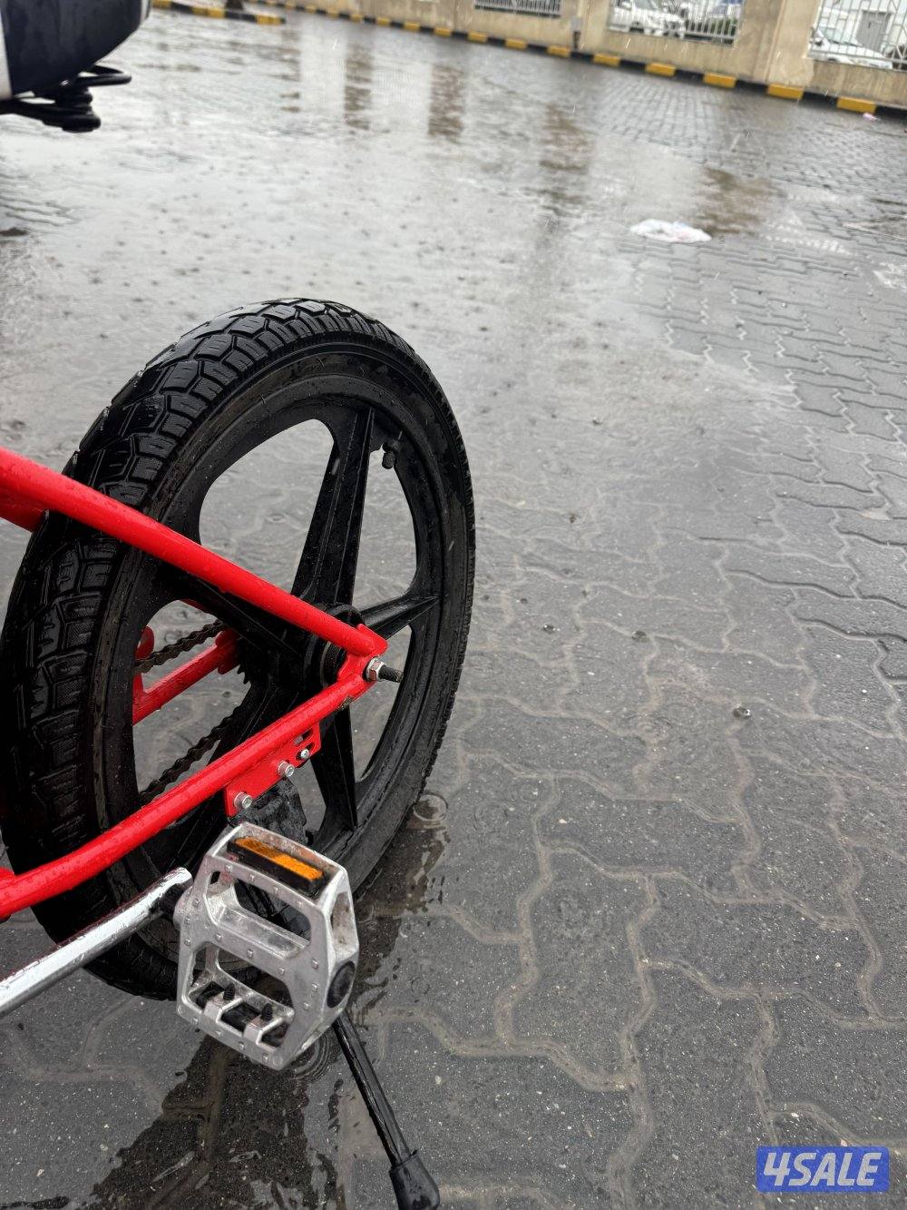 قاري ابو نجمه للبيع2