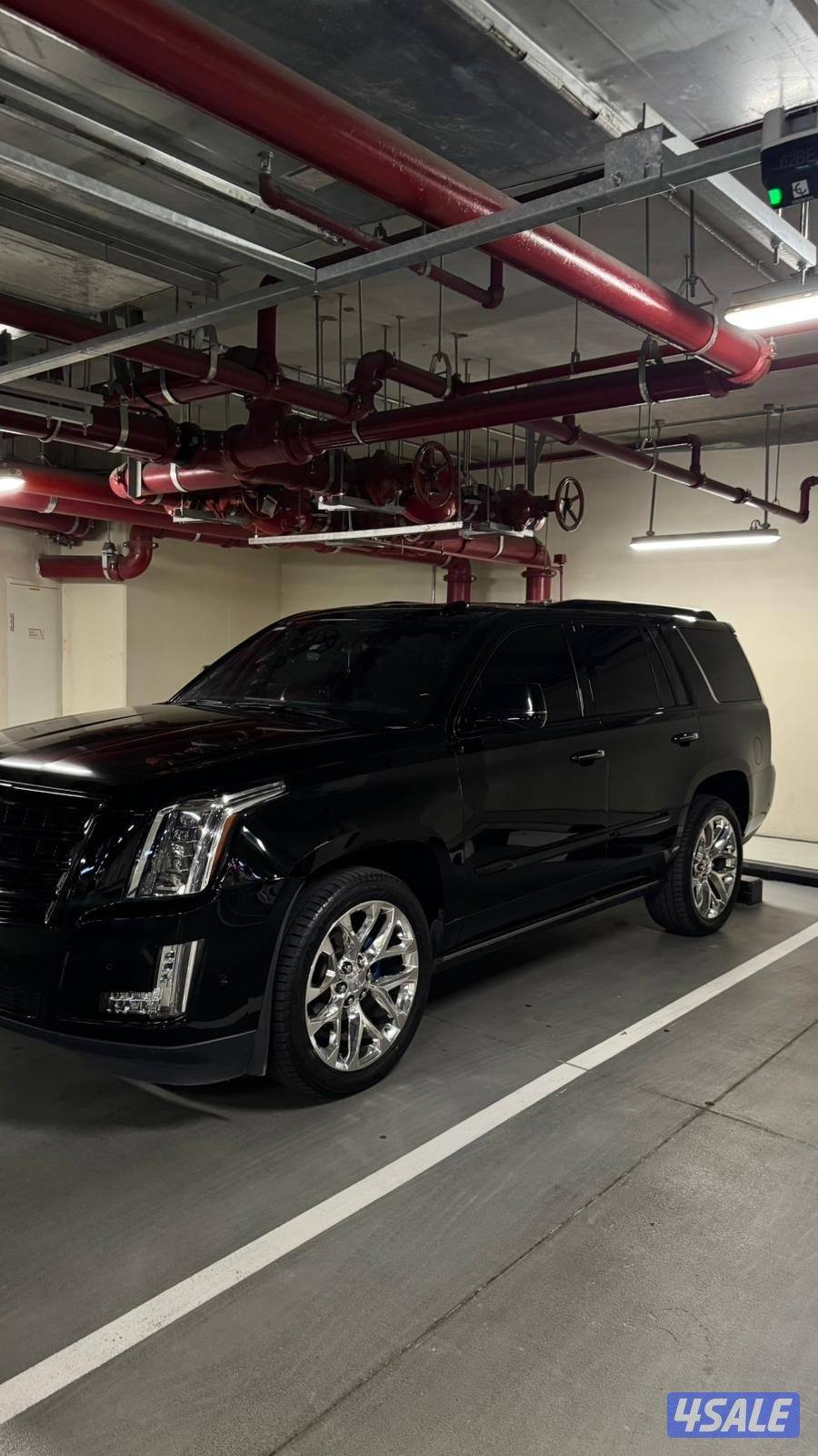 للبيع رنقات مه توايرهم2