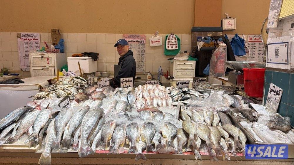 للبيع مسمكه  بسوق الكوت الموقع ممتاز0