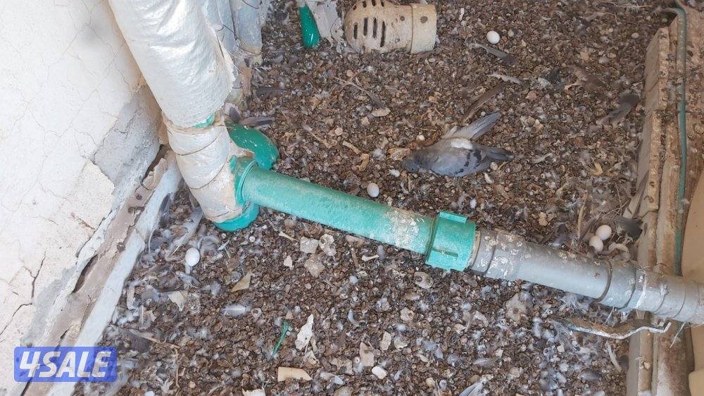 ابويوسف خدمة ٢٤ساعة12