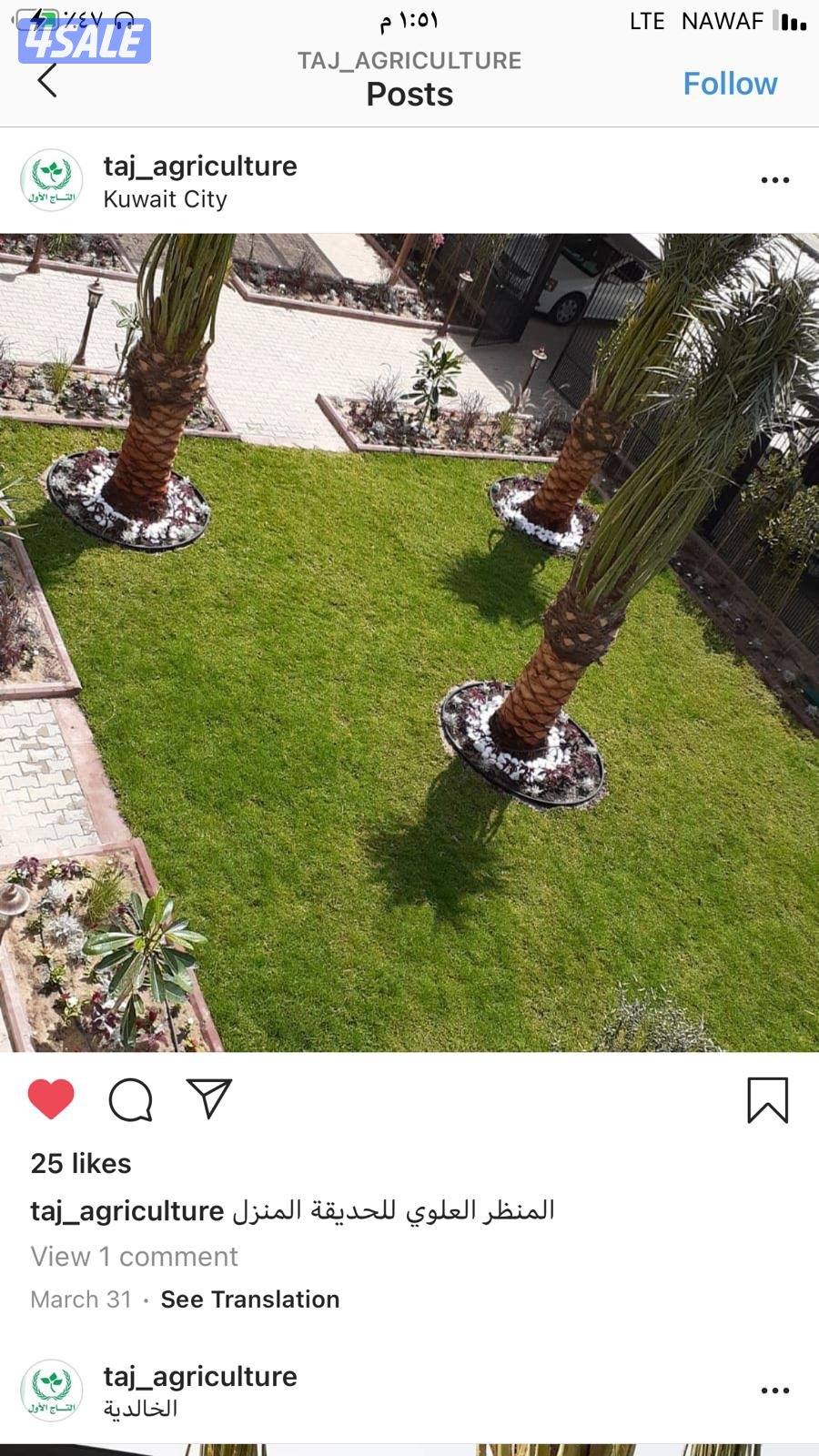 زراعة و تنسيق حدائق2