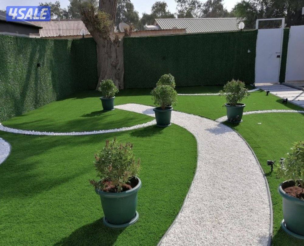 زراعة و تنسيق حدائق8