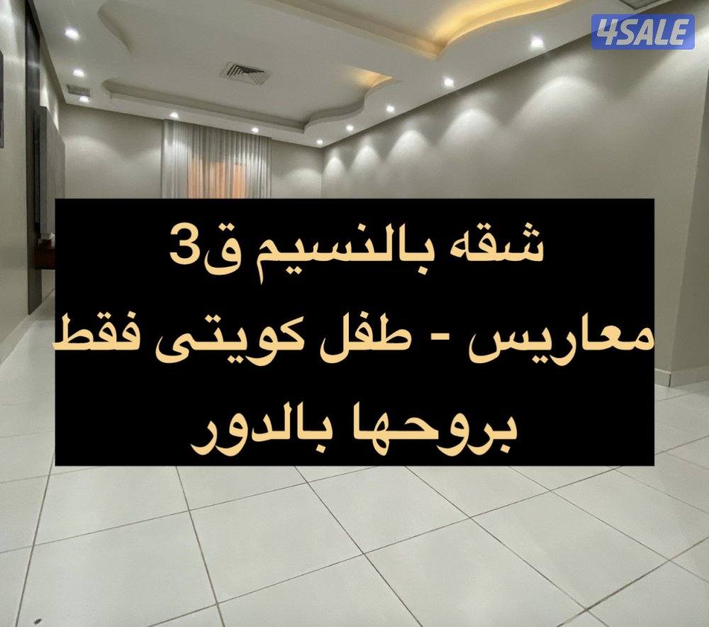 شقه بروحها بالدور الاول سعد العبدالله ق2 🔷النسيم ق3 🔷المطلاع 🔷1