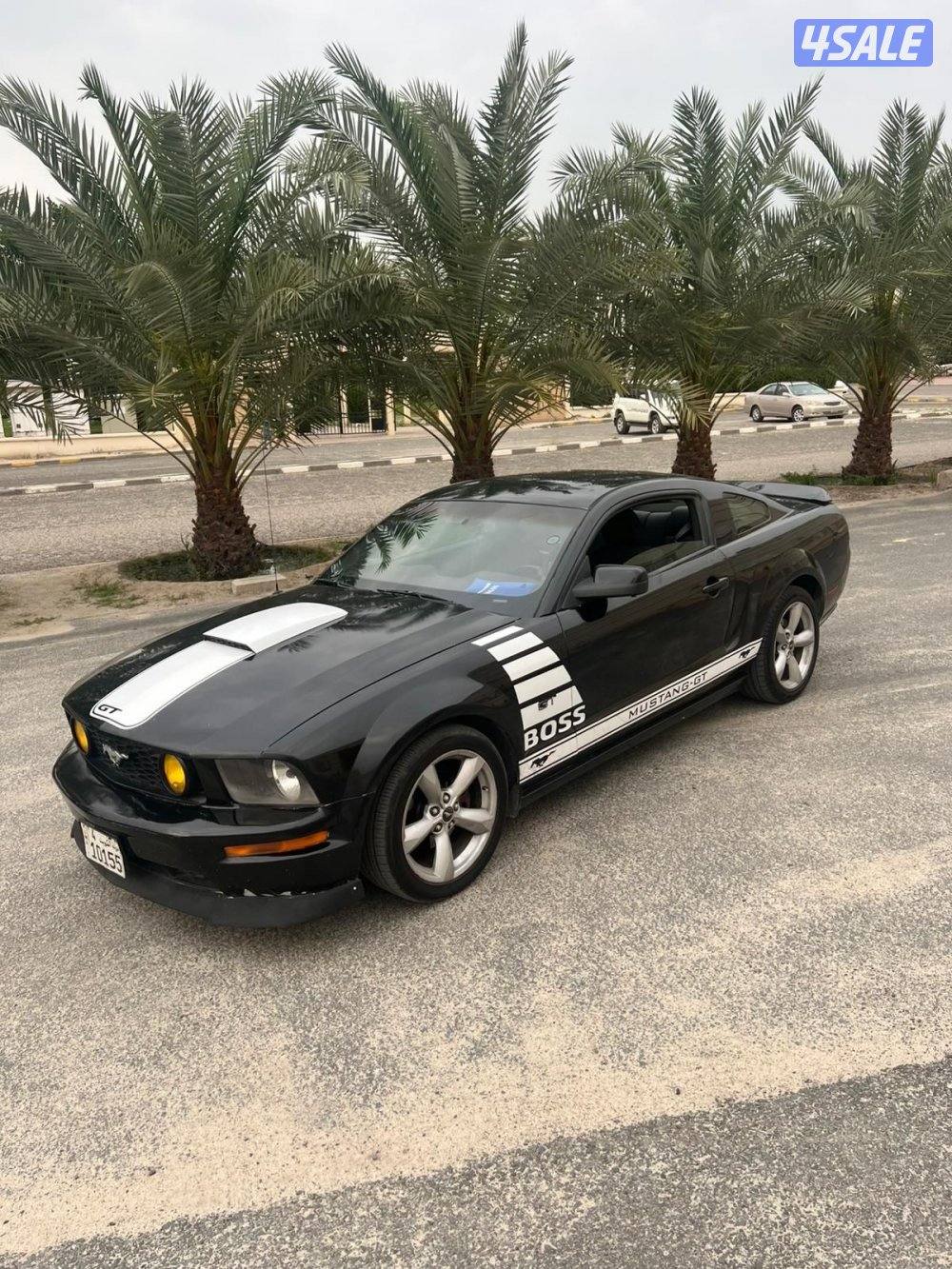 موستنق قير عادي 20093