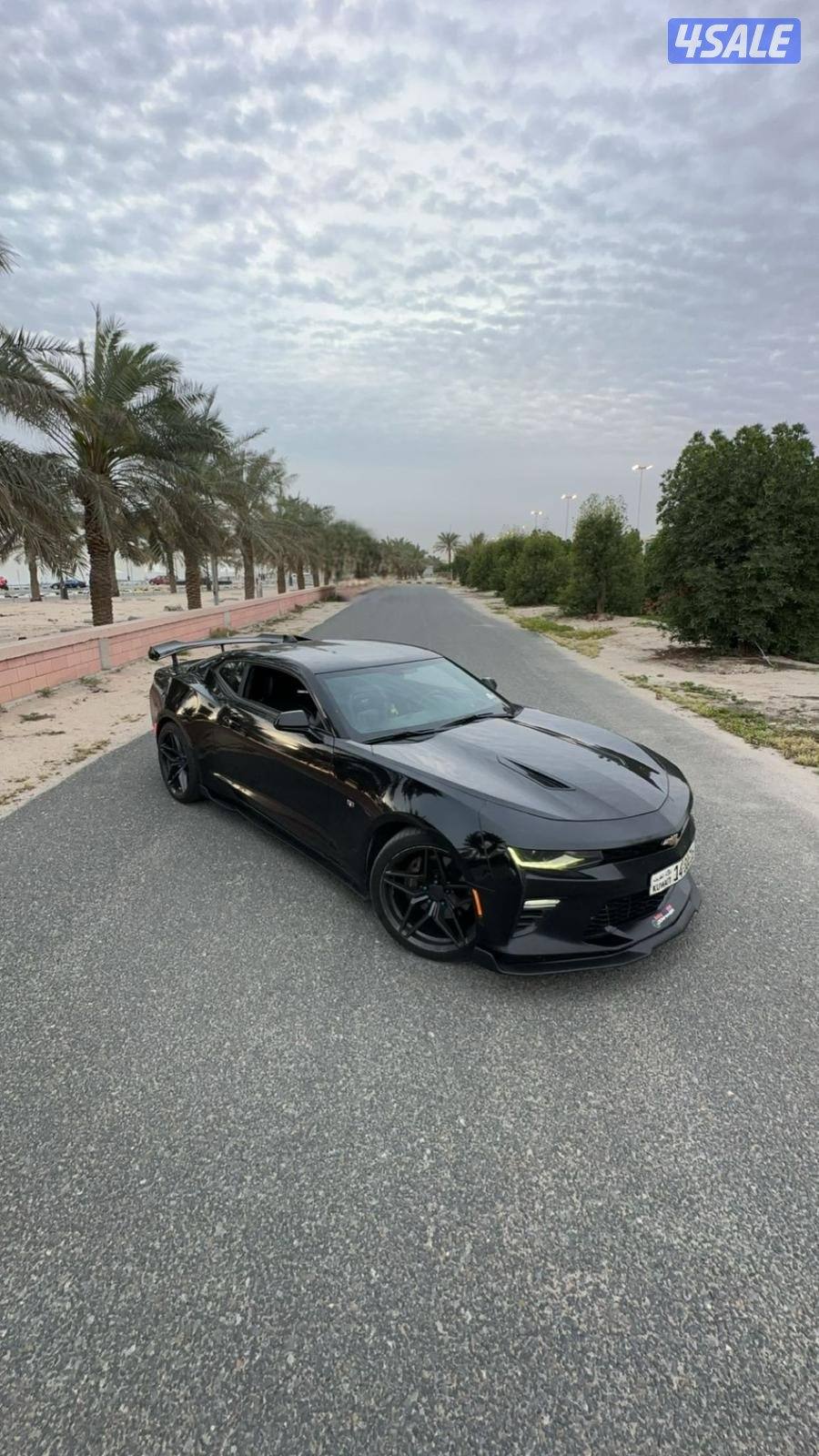 كمارو Ss / 20160