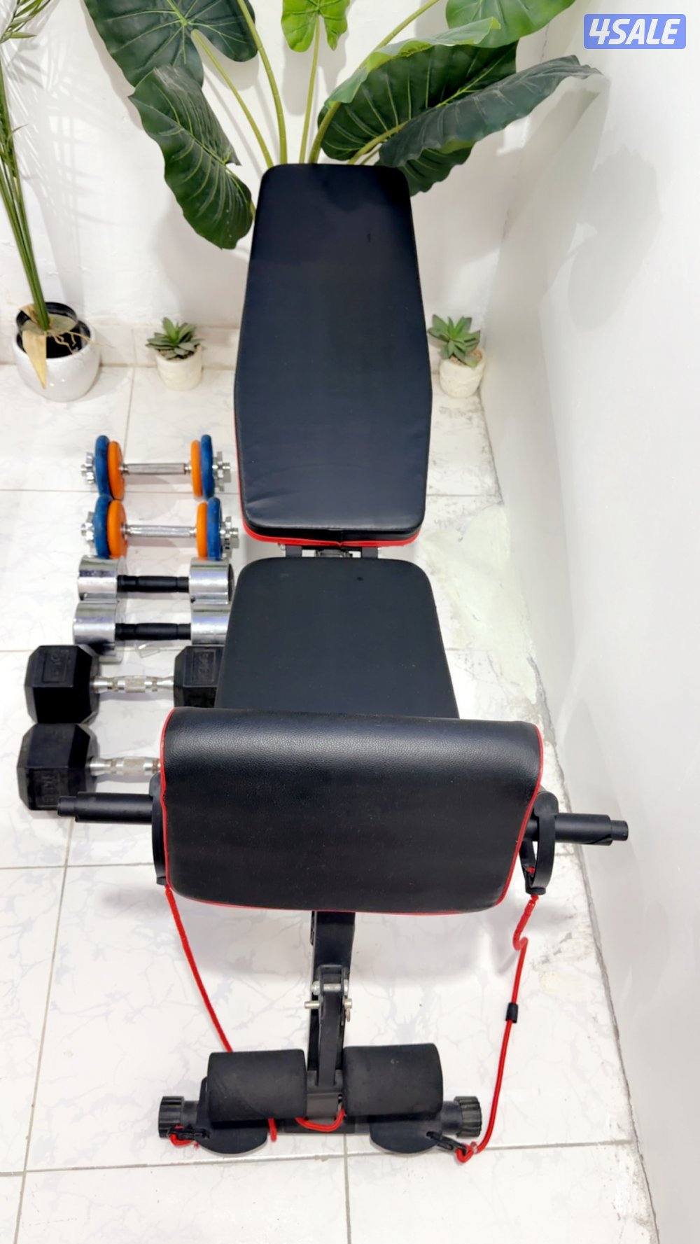 كرسي بنش + دامبل0