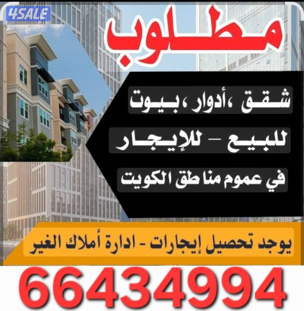 للايجار شقه بابوحليفه غرفة وصالة ومطبخ ٢ حمام تكييف سنترال0