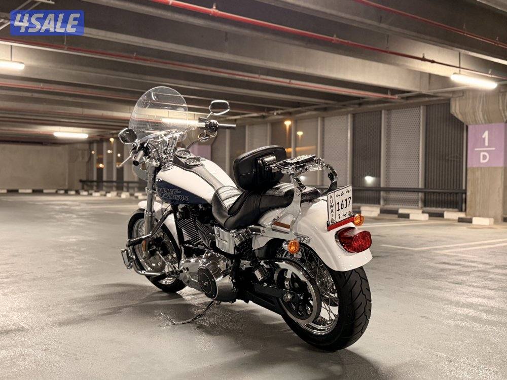 لو رايدر بحالة نادرة جداً3