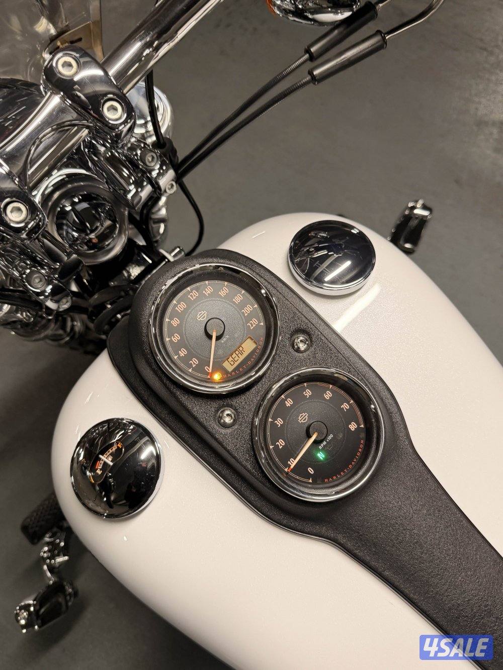 لو رايدر بحالة نادرة جداً4