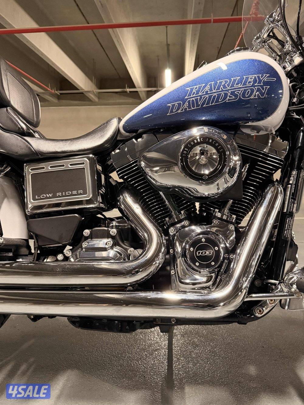 لو رايدر بحالة نادرة جداً6