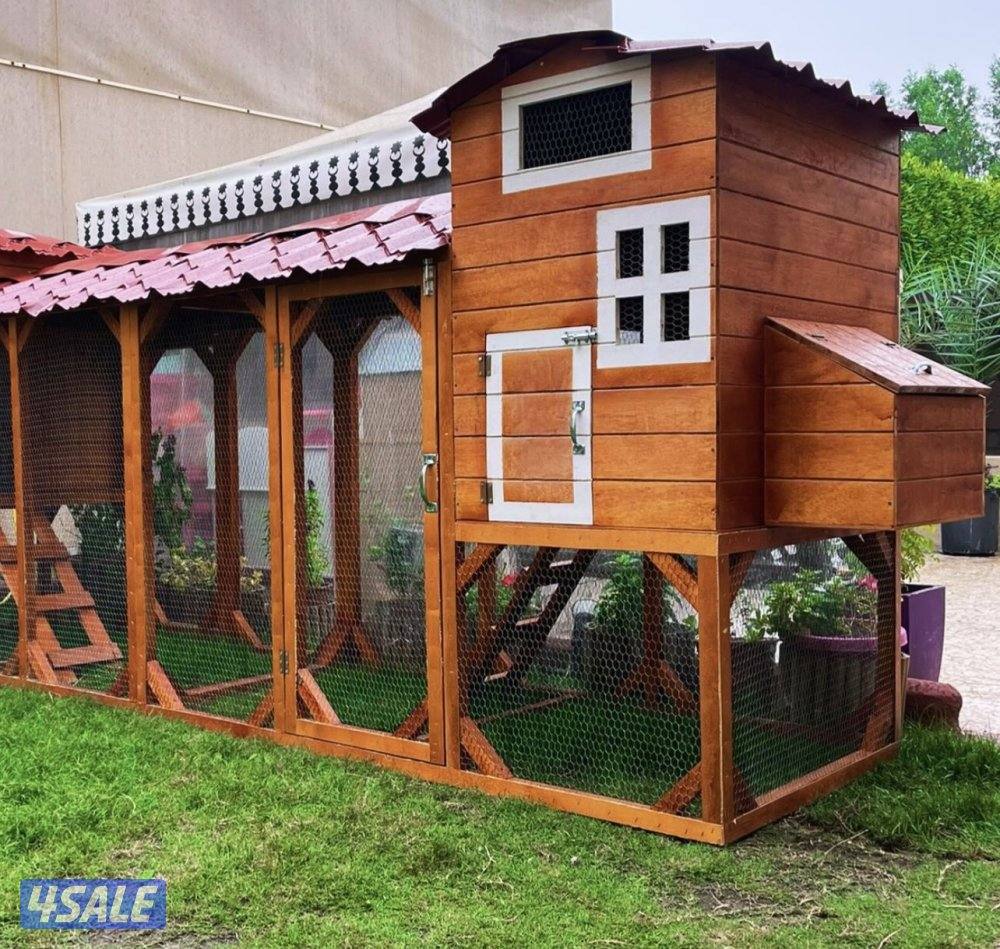 كوخ دواجن خشبي للحدايق المنزلية والمزارع 🛖🪵0