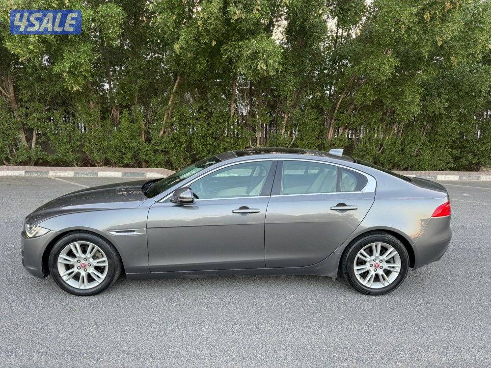 جاكور 2018 بحاله نادره6