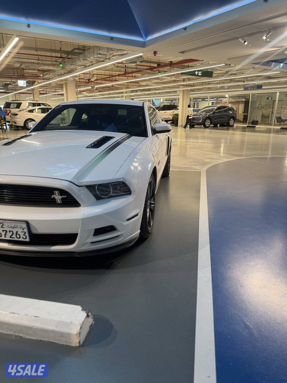 سبشل كلفورنيا6