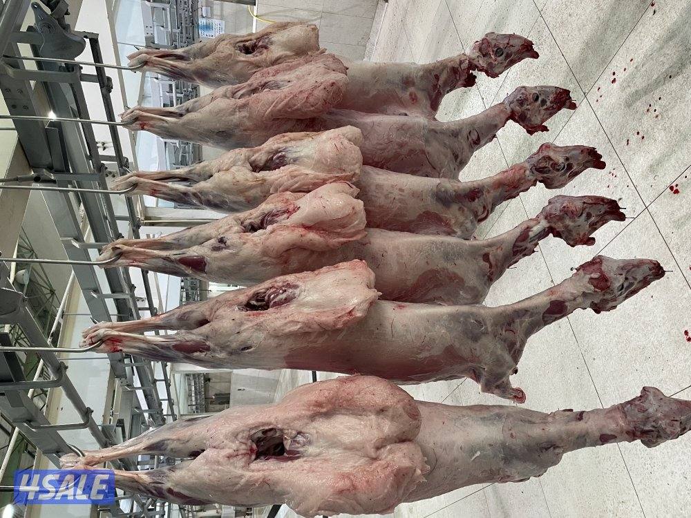 جميع مناطق الكويت0