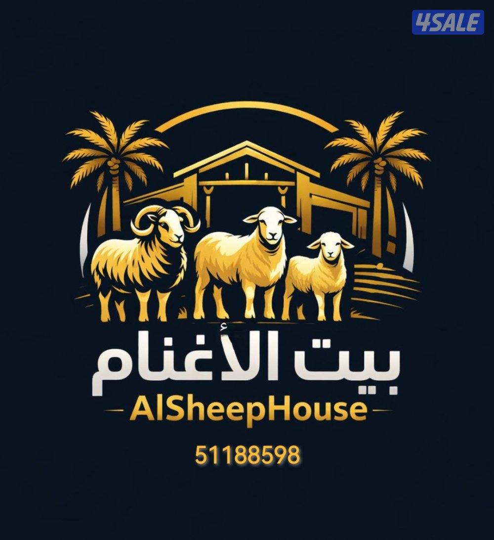 جميع مناطق الكويت1