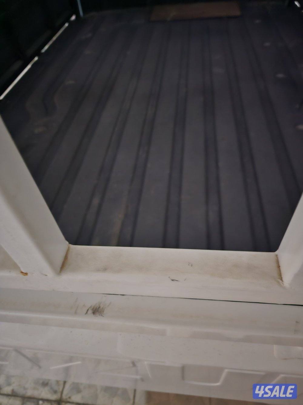 كاري سوزوكي1