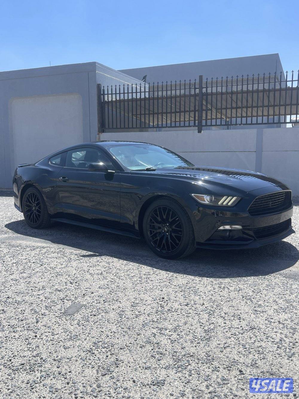 موستنق  (قير عادي)0