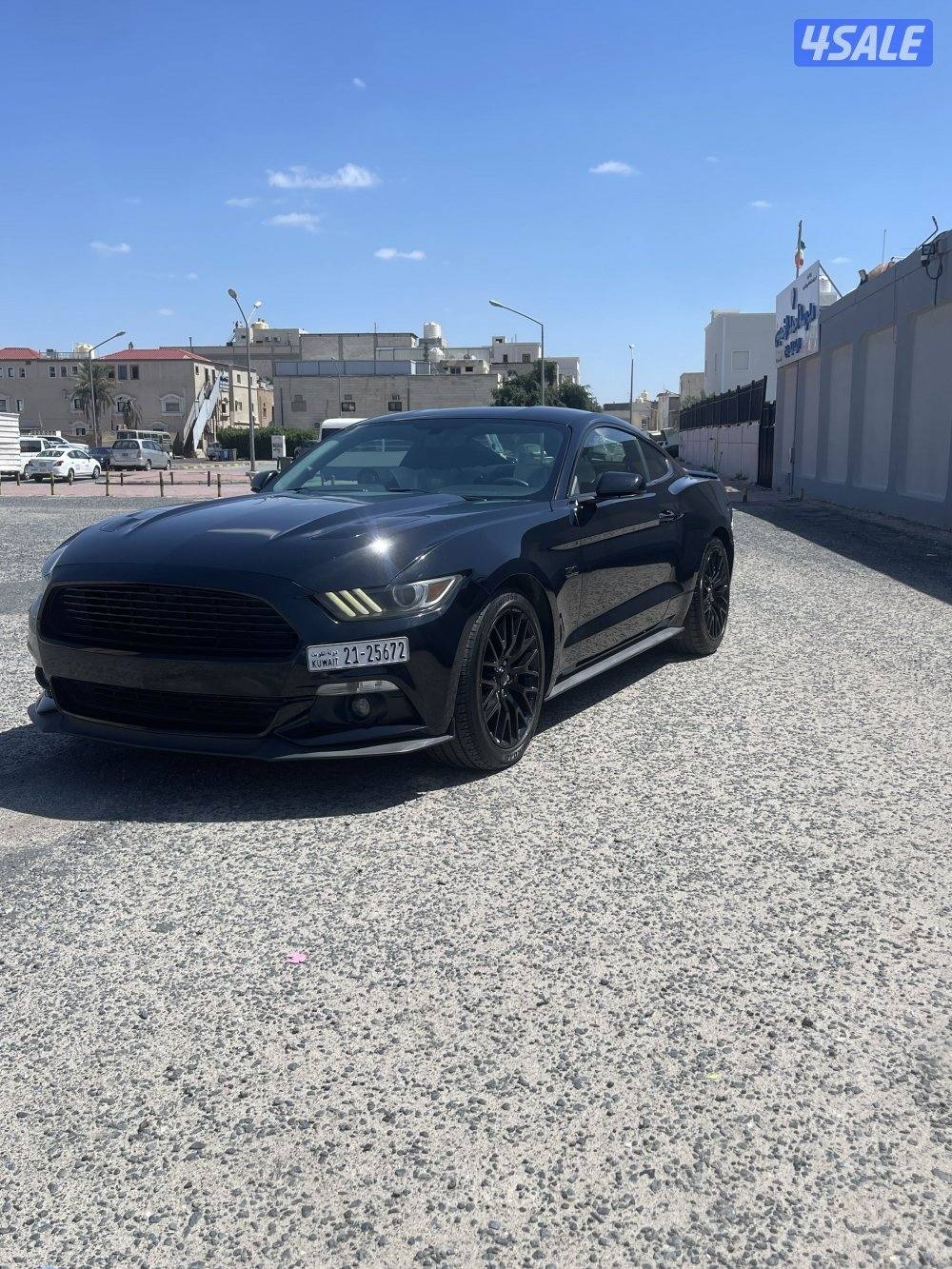 موستنق  (قير عادي)3