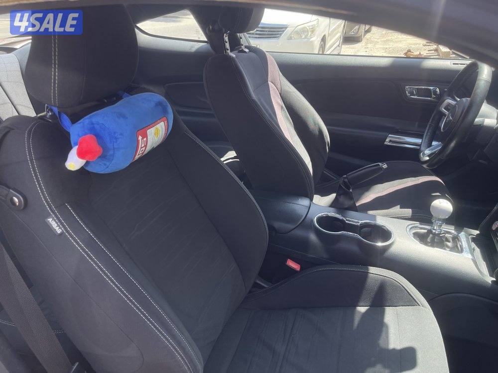 موستنق  (قير عادي)4