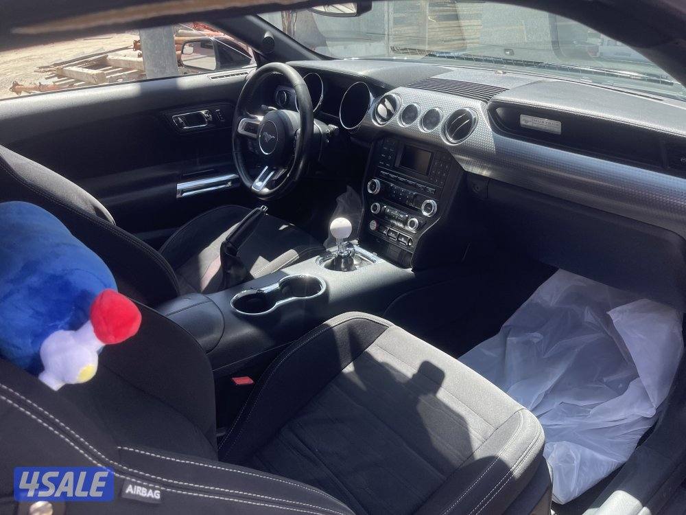 موستنق  (قير عادي)5