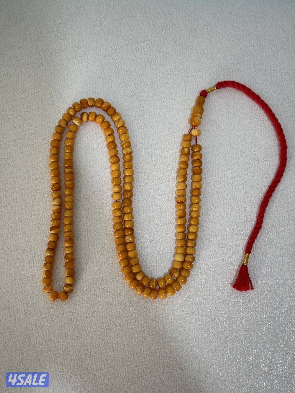 كهرب بولندي جميل0