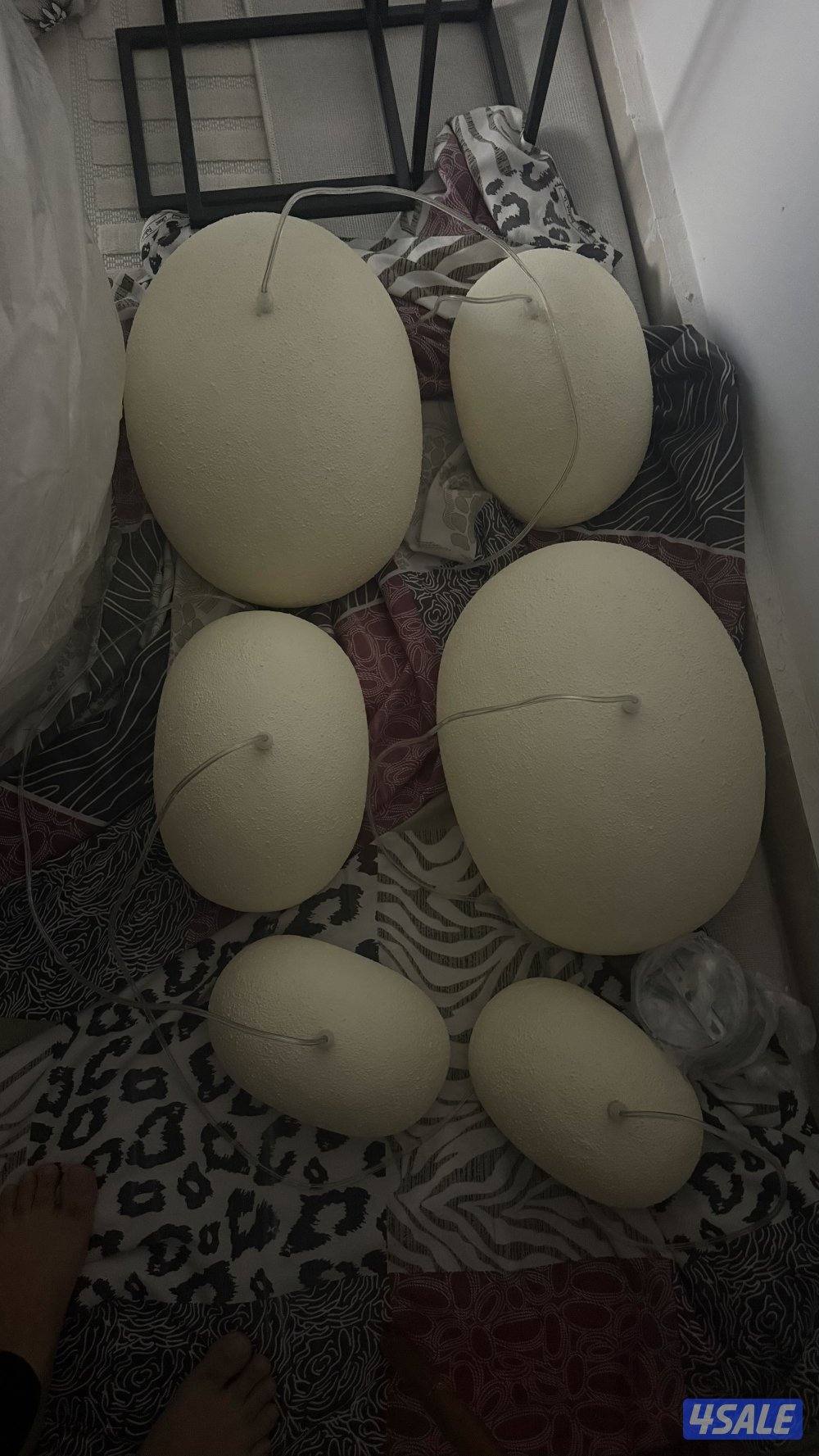 وابى سابى اضأه0