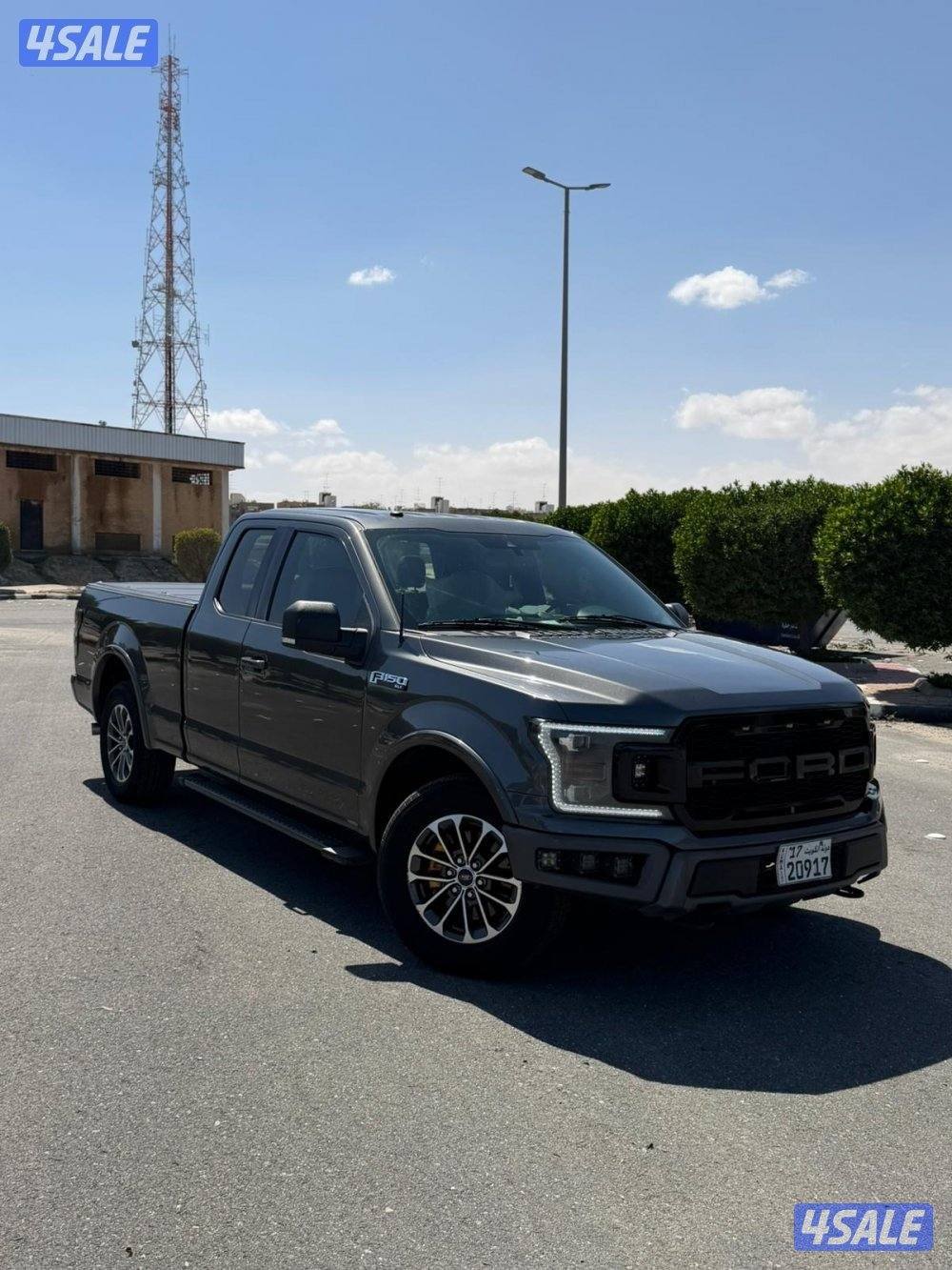 وانيت فورد0