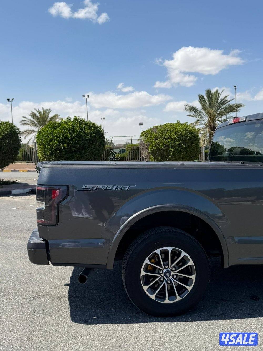 وانيت فورد6