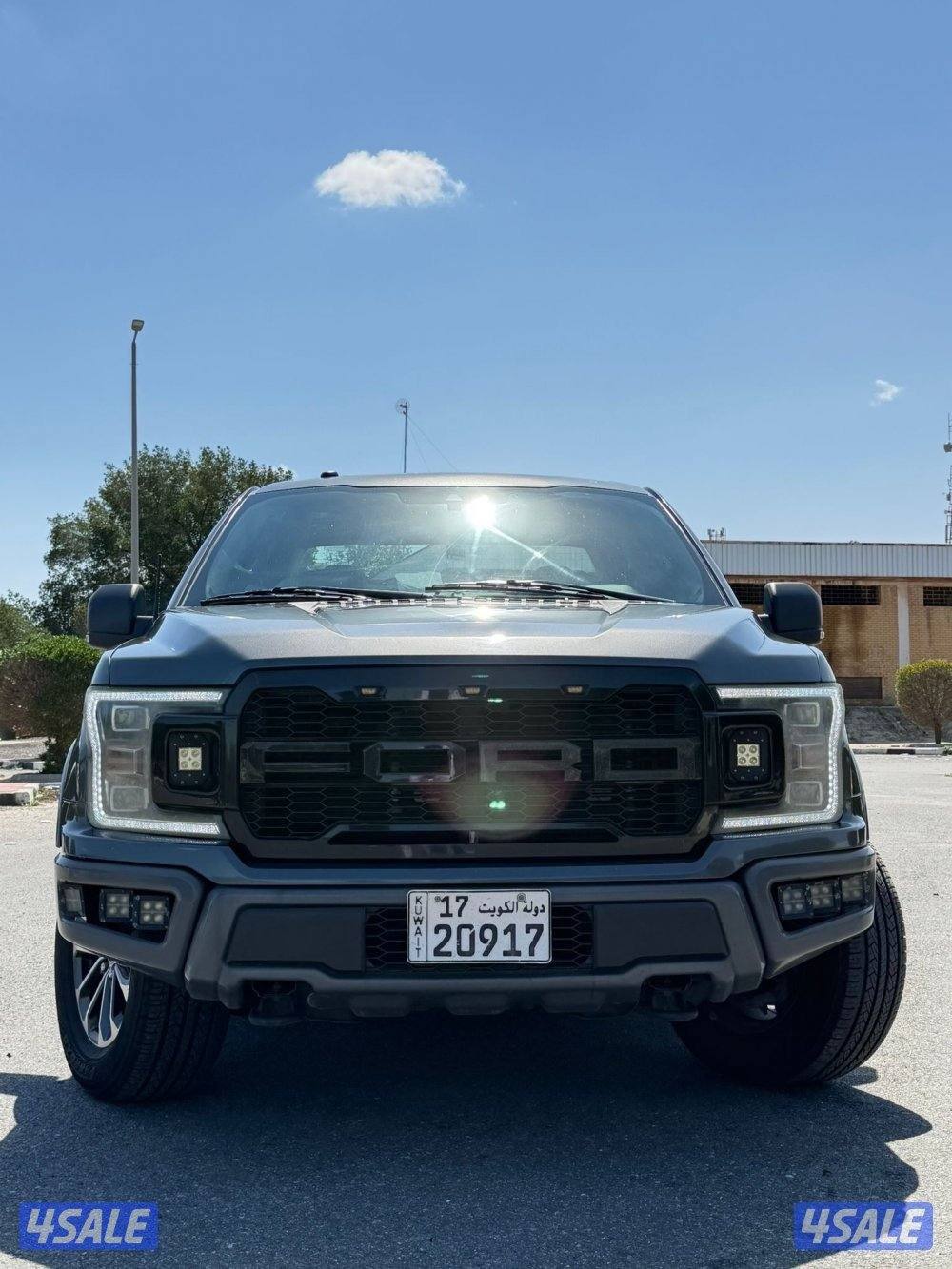 وانيت فورد2