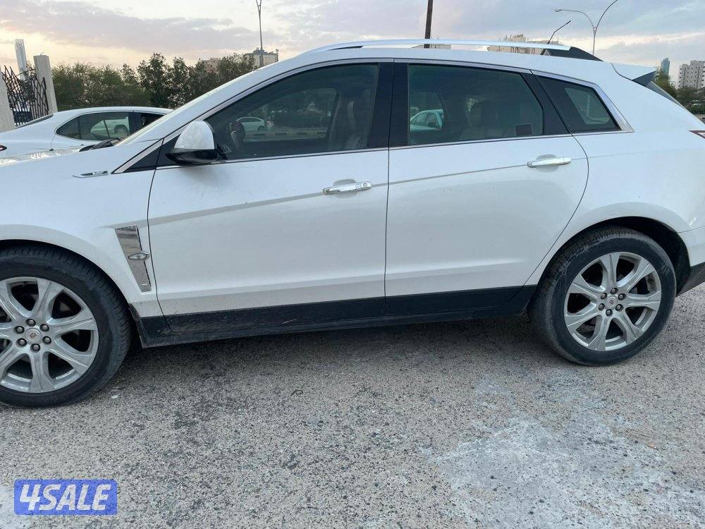 المنقف الفحيحيل2