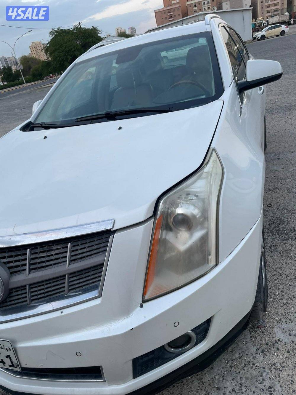 المنقف الفحيحيل6