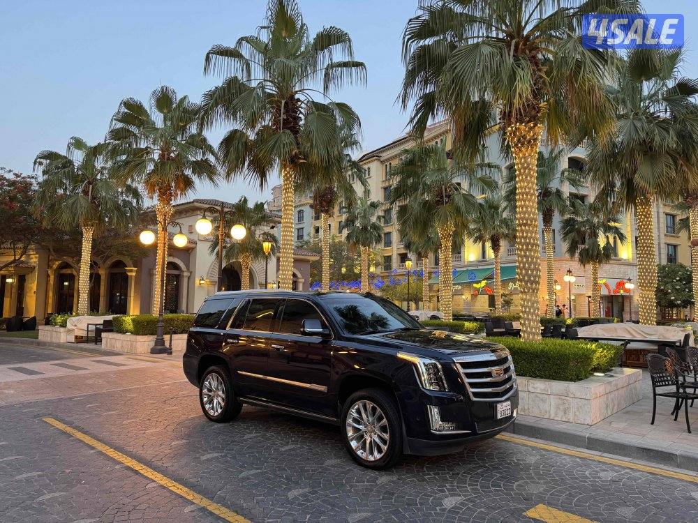 للبيع اسكاليد 2019 وارد قطر ماشي 97 الف شرط الفحص2