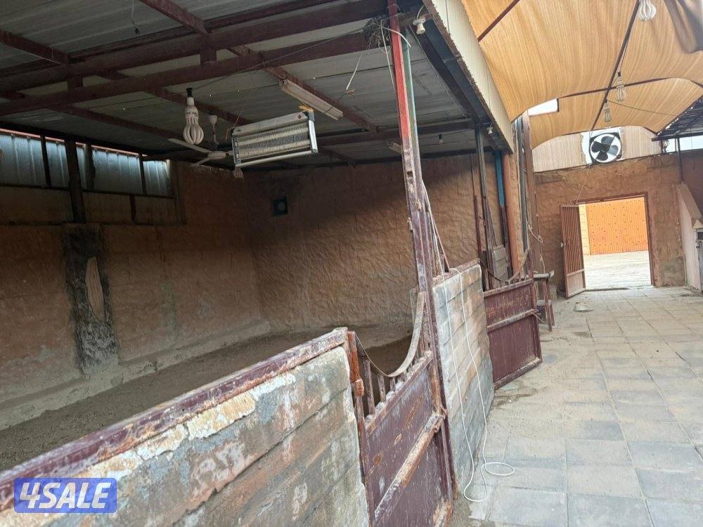 للإيجار شهري1