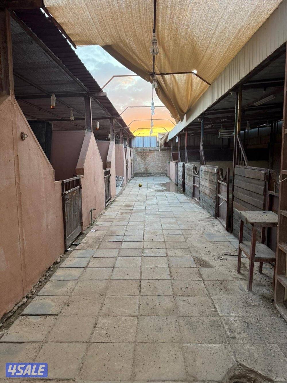 للإيجار شهري2