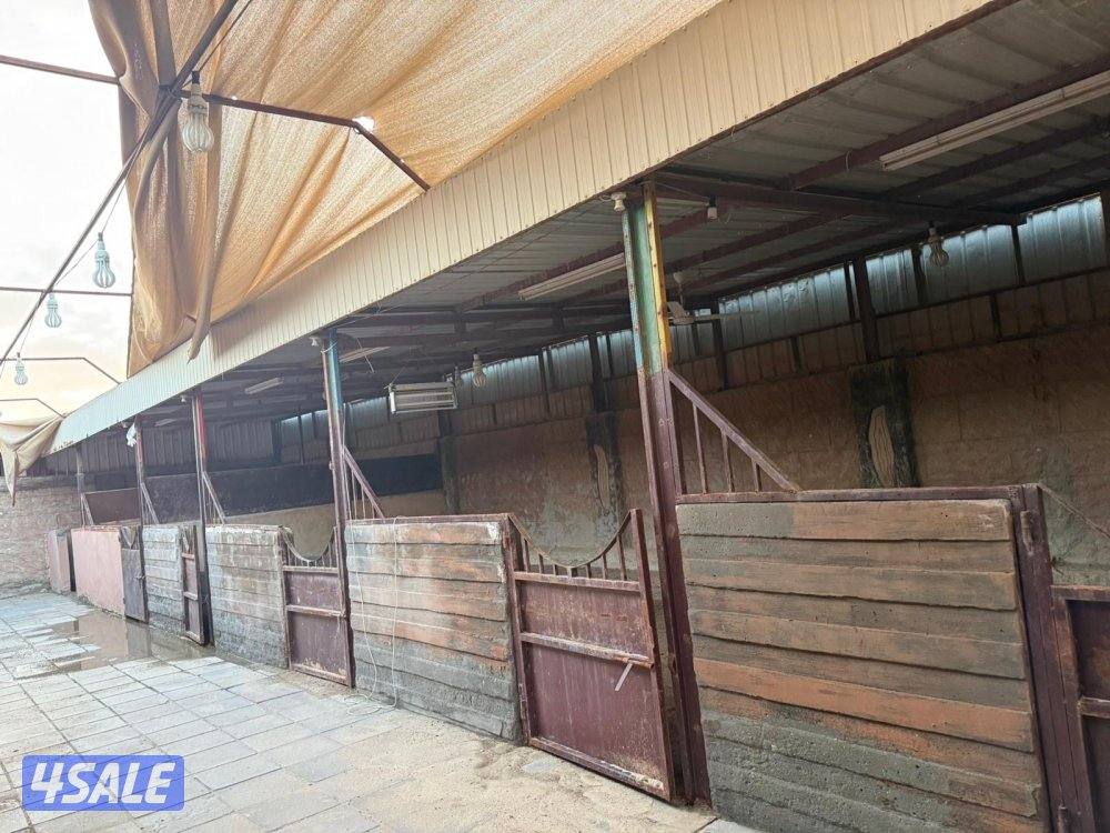 للإيجار شهري3