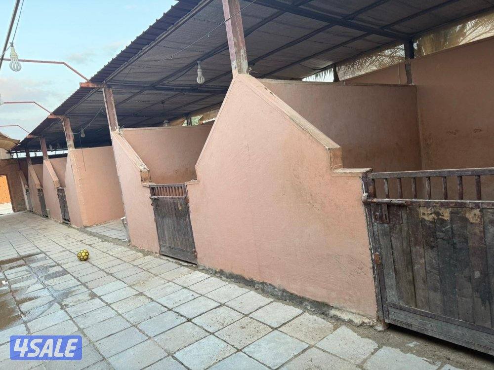 للإيجار شهري4